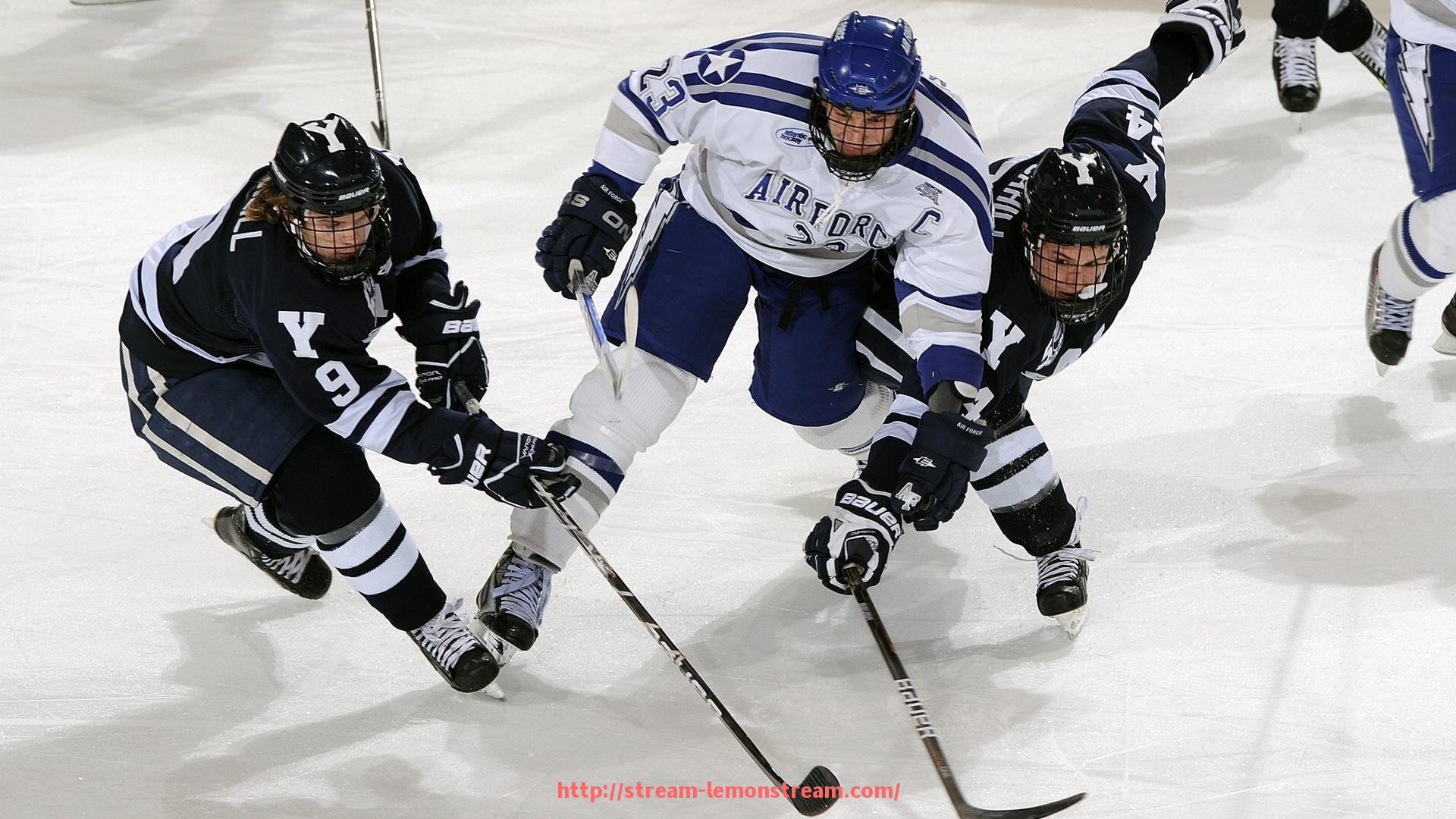 柠檬体育直播-简单体育健身器材推荐及家庭使用指南